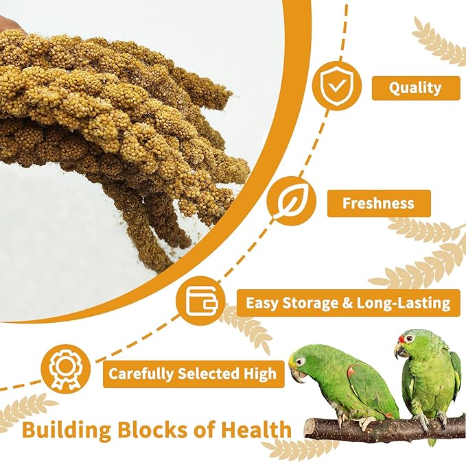 kathson Natural Sun-Dried Birds Millet Spray Millet Treat bird snacks for Parrots Cockatiels Lovebirds Painted Buntings and Finches Parakeets 1.1 LB