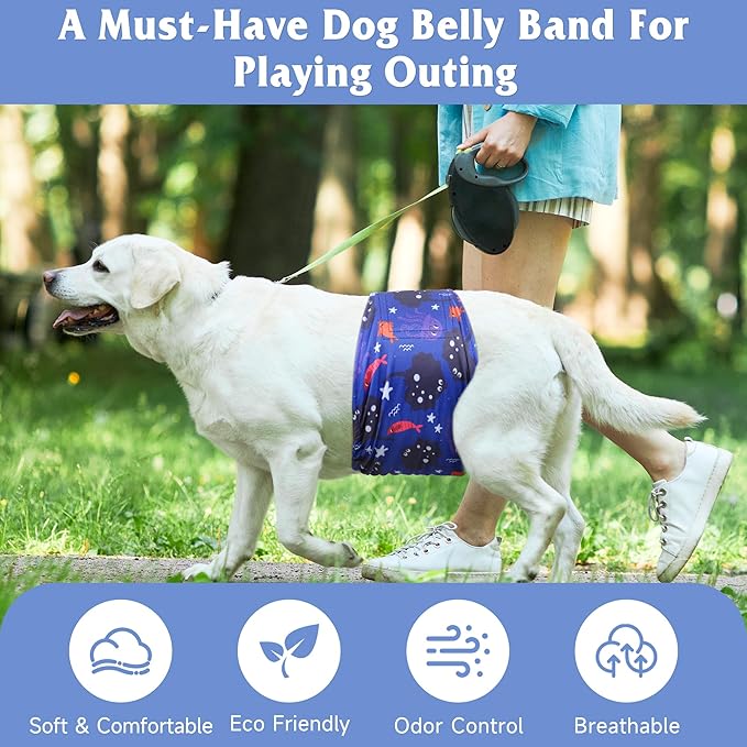 5 Pack Dog Diapers Male Reusable, Premium Belly Bands for Dogs, High Absorbing Male Dog Pee Wraps for Doggie in Incontinence or Excitable Urination Dinosaur XS
