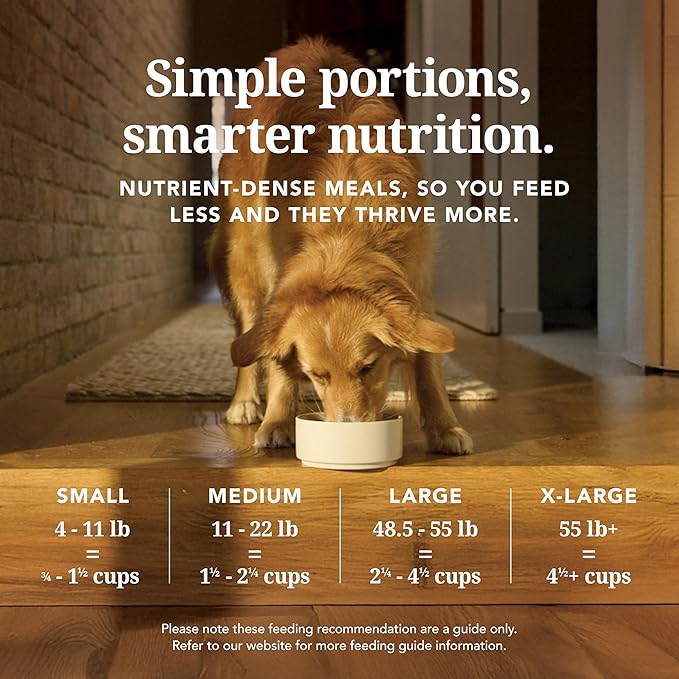 K9 Natural - Grain Free Freeze Dried Dog Food Topper - Chicken, 3.5oz