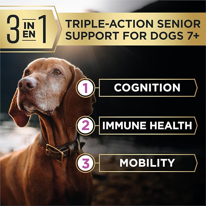 Purina Pro Plan AdvantEDGE Senior Support Plus Large Breed Shredded Blend Chicken and Rice Formula Dry Dog Food - 22 lb Bag