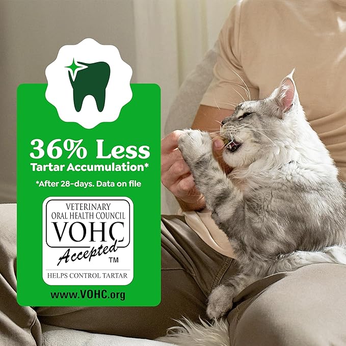 Greenies Cat Treats, Feline Veterinarian-Recommended Adult Natural Dental Cat Treats, Savory Salmon Flavor, 2.1 oz. Pouch