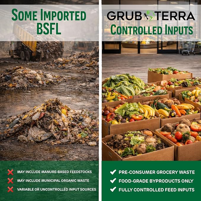 GrubTerra Black Soldier Fly Larvae for Chickens – Dried BSFL Poultry Treat, High Protein Calcium Feed Supplement for Laying Hens, Backyard Chickens, Sourced from Mexico, Not from China - 1LB