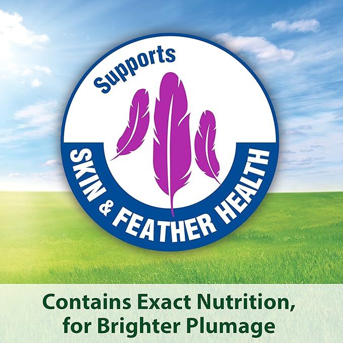 Kaytee Forti-Diet Pro Health Cockatiel Pet Bird Food with Safflower, 4 Pound (Pack of 2)