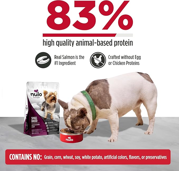 Nulo FreeStyle Small Breed Dog Food Dry - Salmon & Lentils, Puppy & Adult Grain Free Dog Food, Natural, High Protein, Smaller Sized Kibble with BC30 Probiotic for Healthy Digestion Support, 14lb