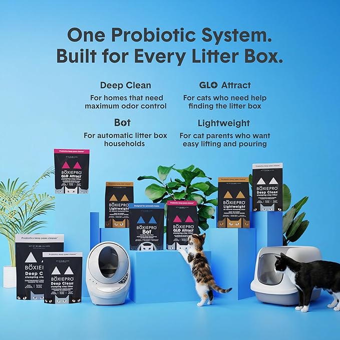 Boxie Glo Clumping Clay 30 Day Odor Control Cat Litter, 99.9% Dust-Free, Low Tracking, UV Light Attractant, 40 lb