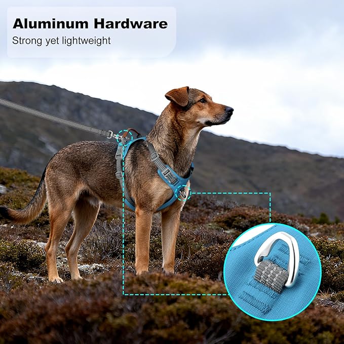 No Pull Dog Harness – Adjustable Reflective Nylon Vest for Small Medium Large Dogs, Escape Proof Training Harness with Leather Control Handle, Lightweight Aluminum Hardware (Cyan, XL)