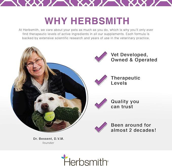 Herbsmith Sound Dog Viscosity – Advanced Joint Support for Dogs – Veterinarian Recommended Glucosamine for Dogs, Hyaluronic Acid, Chondroitin, MSM – Natural Arthritis Pain Relief – 500g Powder
