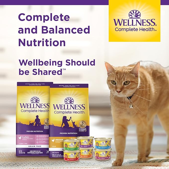 Wellness Complete Health Pate Adult Wet Cat Food, Natural, Protein-Rich, Grain Free, 12.5 Ounce, 12 Pack, (Chicken & Herring)