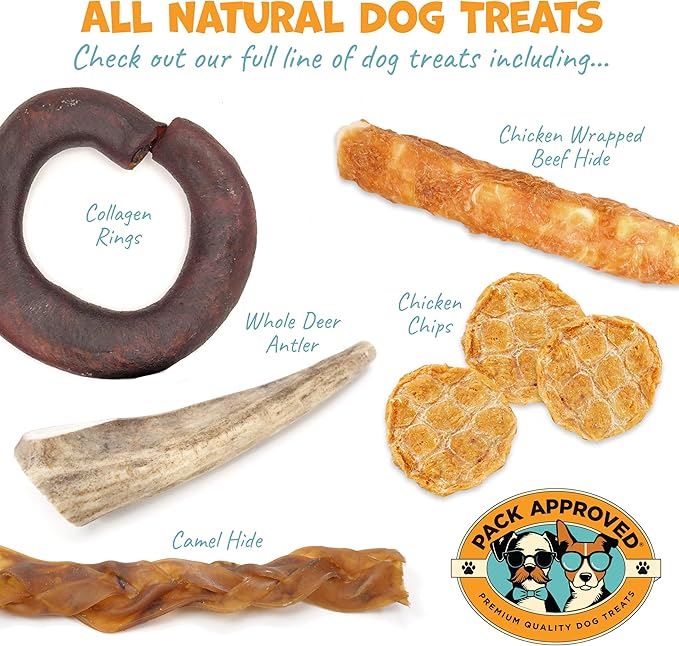 All-in-One Balm - Moisturizing Elbow, Nose & Paw Balm for Dogs - Dry Nose and Cracked Skin Relief - Lick-Safe and All-Natural with Coconut Oil, Avocado Oil, & Shea Butter for Dogs - 2oz