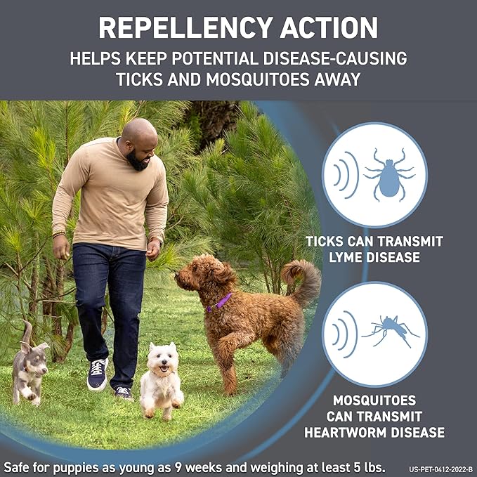 FRONTLINE Shield Flea & Tick Treatment for X-Large Dogs 81-120 lbs. Count of 6