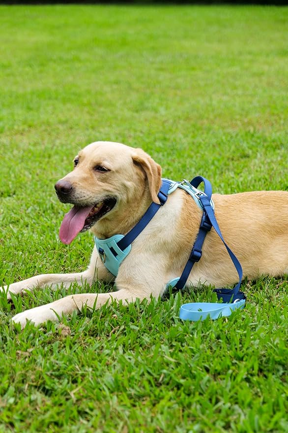 No Pull Dog Harness Leash and Collar Set, Soft Adjustable Dogs Vest Reflective and Comfortable Handle Blue X-Large