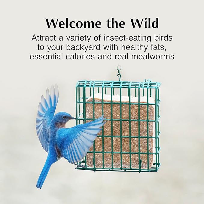 C&S Mealworm Delight No Melt Suet Dough, Suet Cakes for Wild Birds, 11.75 Ounces, Pack of 8