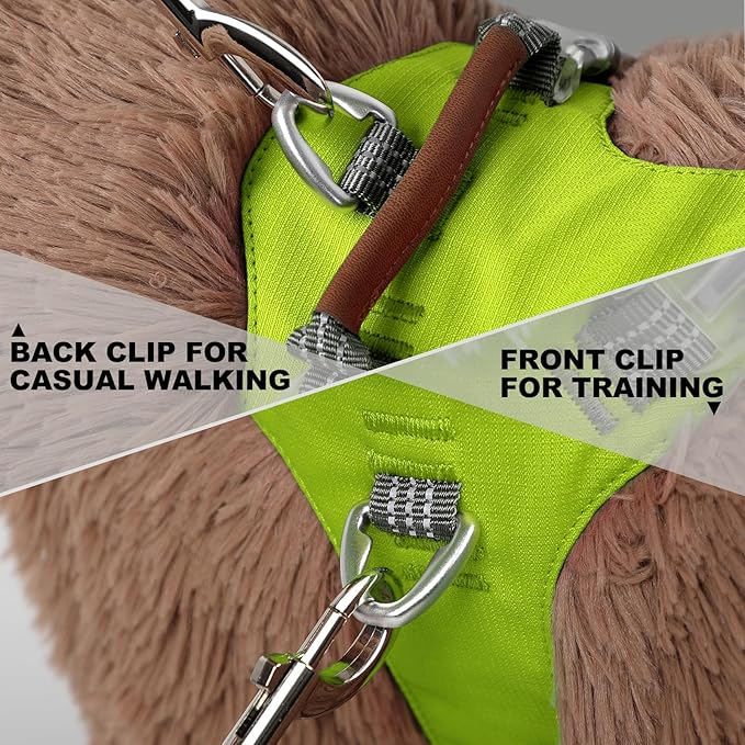No Pull Dog Harness – Adjustable Reflective Nylon Vest for Small Medium Large Dogs, Escape Proof Training Harness with Leather Control Handle, Lightweight Aluminum Hardware (Green, S)