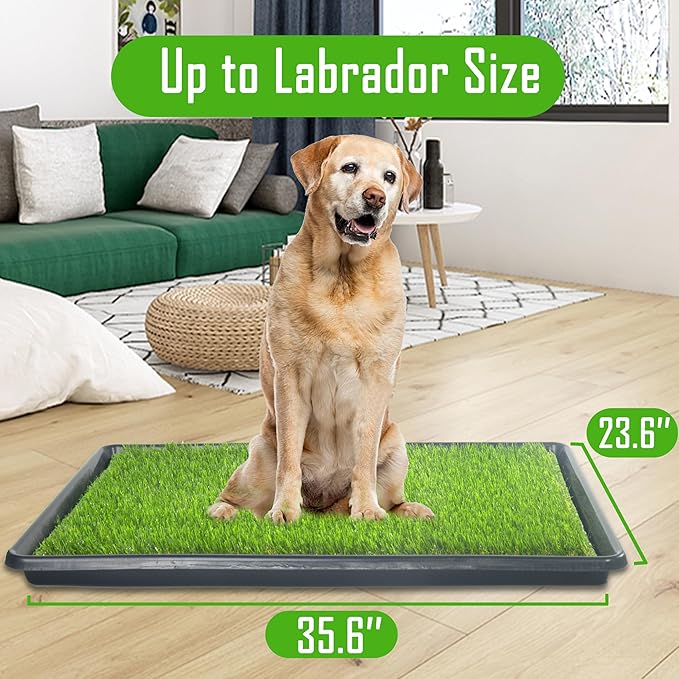 Reusable Dog Loo System with Artificial Grass Turf&Pee Pads&Tray, for Puppy Potty Training is Portable&Easy to Clean,35x23in Large Dog Litter Box Toilet for Indoor/Outdoor use（Large）