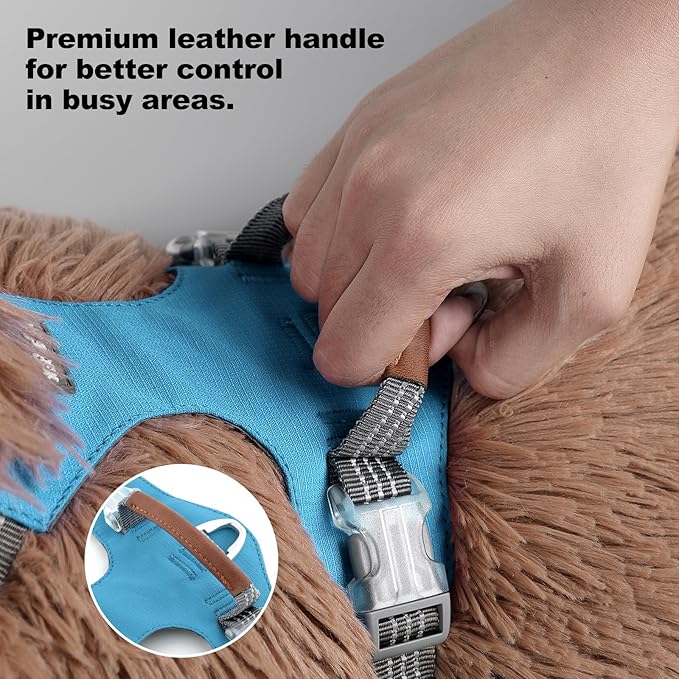 No Pull Dog Harness – Adjustable Reflective Nylon Vest for Small Medium Large Dogs, Escape Proof Training Harness with Leather Control Handle, Lightweight Aluminum Hardware (Cyan, S)
