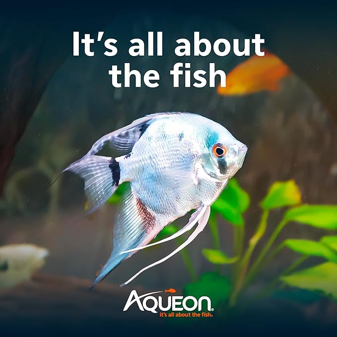 Aqueon Cichlid Food Color Enhancing 4.5 Ounces Color