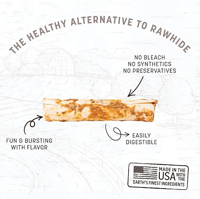 Earth Animal No Hide Chews - Long Lasting Rawhide Free Medium Dog Chews Rolls, Salmon - 3 Count Value Pack