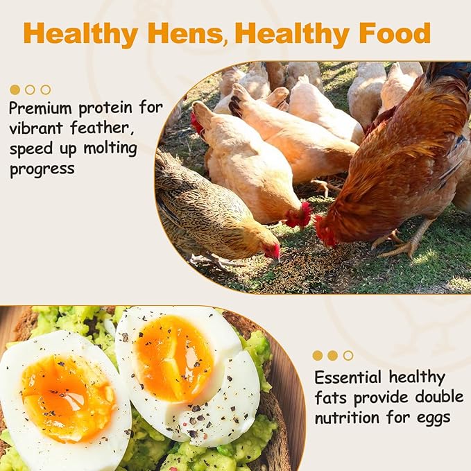 5LB Dried Mealworms, Non-GMO Meal Worms for Chickens & Birds, High Protein Chicken Feed, Natural Chicken Worms Ideal for Wild Birds, Reptile Tasty Bird Food