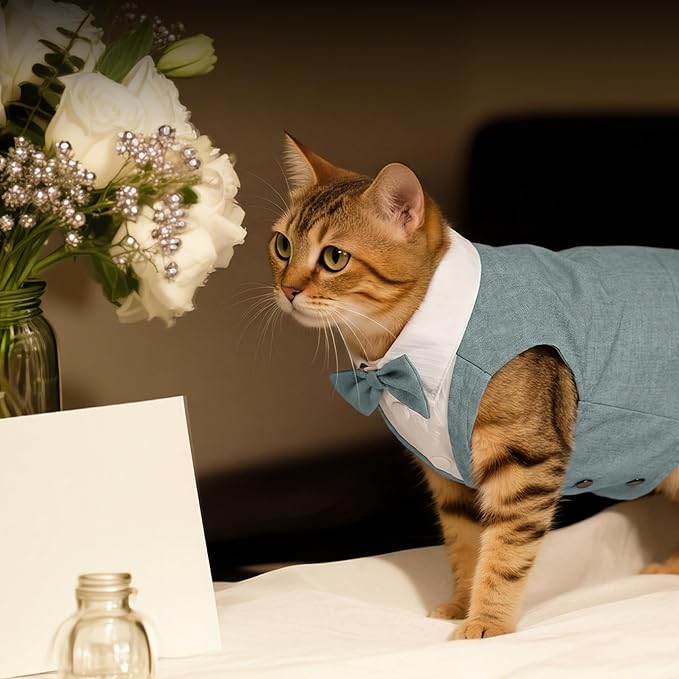 PUMYPOREITY Cat Tuxedo Suit Formal Wear with Bow Tie, Soft Skin-Friendly Cat Costumes for Cats Only, Elegant Outfit for Male Female Cats, Perfect for Wedding Birthday Photo Shoots, XL, Grey