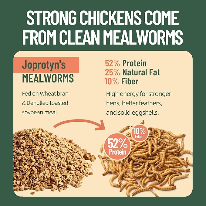 5LB Non-GMO Dried Mealworms - High Protein Natural Feed & Chicken Treats for Chickens, Ducks, Wild Birds, Quails & Reptiles - Support Egg Production & Feather Growth
