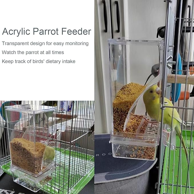 No Mess Bird Feeder Water Dispenser Set, SHGNUY Automatic Transparent Parrot Feeder Acrylic Parrot Food Container Drinker Cage Accessories for Small Birds Canary Parakeet Finch (Dark Green, 1)