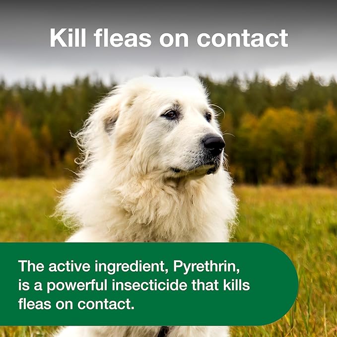 Advantage Dog Flea Treatment Spray | Kills Fleas & Ticks | Dog Flea Spray | 8 oz.