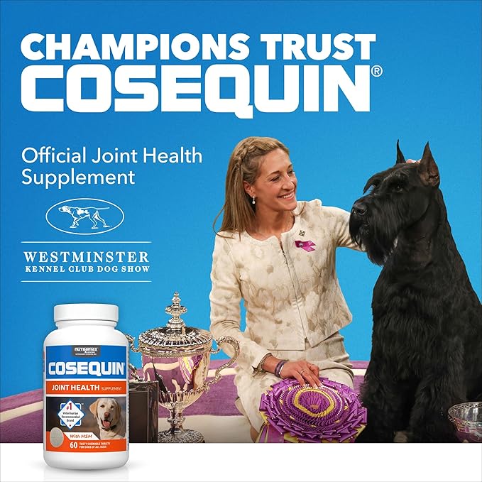 Nutramax Cosequin for Dogs Joint Health Supplement, Contains Glucosamine for Dogs, Plus Chondroitin, Supports Healthy Joints, Chewable Tablets, 250 Count