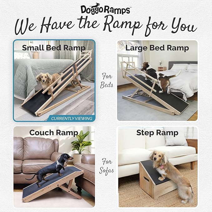 DoggoRamps Bed Ramp for Small Dogs - Solid Hardwood - Adjustable up to 37" Tall Beds with Safety Rails & Anti-Slip Grip - Made in North America Walnut