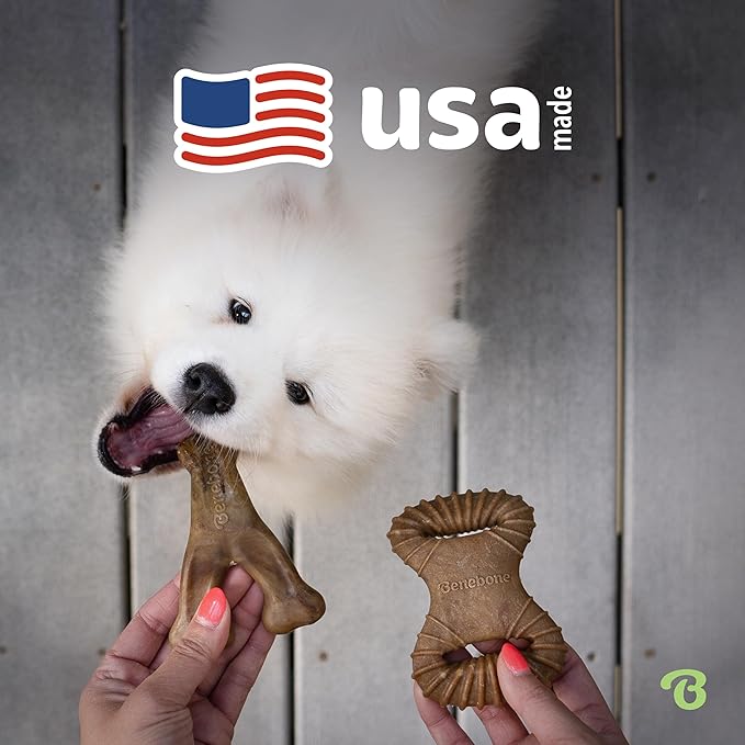 Benebone Tiny 2-Pack Dog Chew Toys, Made in USA, Real Bacon Flavor