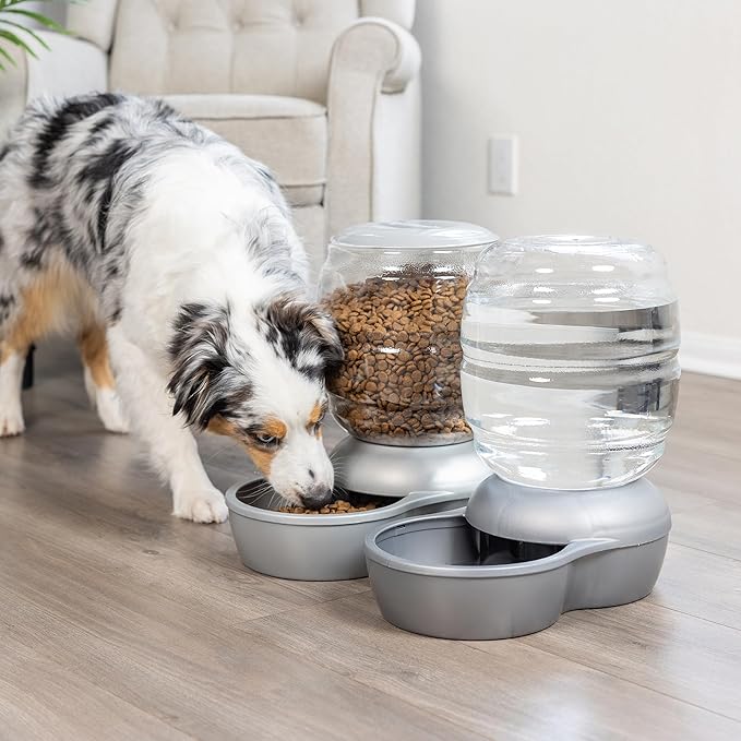 Petmate Replendish Gravity Waterer with Microban for Cats and Dogs, 4 Gallons,Silver, Made in USA