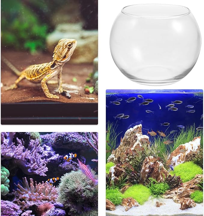 Glass Round Fish Bowl for Goldfish and Hydroponic Plants, 12-inch Glass Terrarium Aquarium for Office and Living Room Centerpiece