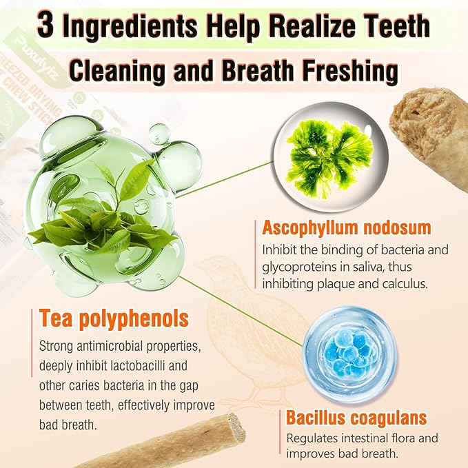 Freezed Drying 50g Cat Chew Sticks Quail Flavor, Cat Teething Sticks for Teeth Cleaning Dental Care, Cats Chew Toys for Fresh Breath
