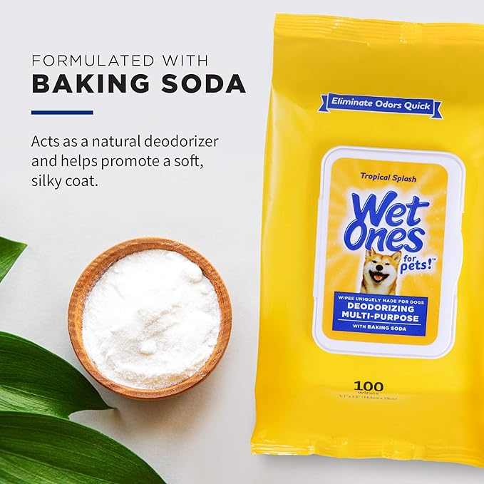 Wet Ones for Pets Deodorizing Multipurpose Dog Wipes with Baking Soda, Tropical Splash Scent - Desmellizing Wipes for Dogs with Wet Lock Seal, 100 Count - 12 Pack