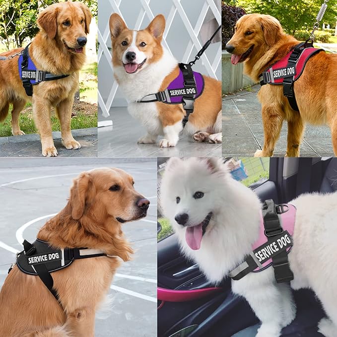 JSXD Dog Harness,No-Pull Service Dog Harness with Handle Adjustable Outdoor Pet Dog Vest 9M Reflective Nylon Material Vest for Breeds,Easy Control for Small Medium Large Dogs