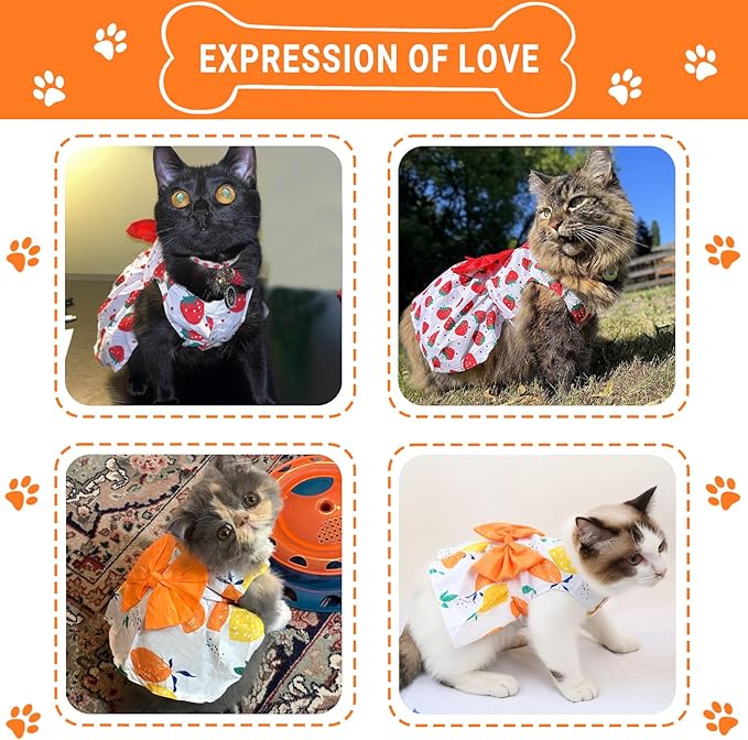 TAPBULL Dog Dresses, Fashionable Pet Dog Clothes, Cute Cat Birthday Dress Outfit (Orange/Red/Yellow/Blue/Pink 5-Pack), Medium