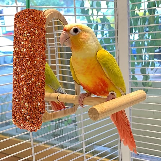Bird Treat Stick Set, Chewing Training Reward Snacks, Multi Species Nutrition for Cockatiel Finch and Parrot, Natural Seed Blend Formula, Free Hanging Design, Healthy Enrichment Support