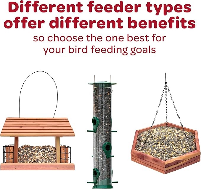 Kaytee Wild Bird Finch Food Blend, 5 lb (Pack of 2)