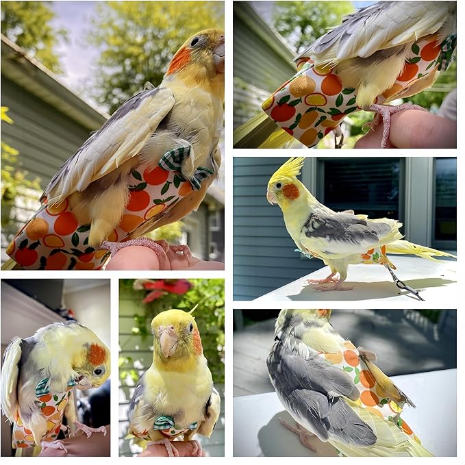 6Pcs Bird Diapers Bird Harness Flight Suits Diapers Reusable Parrot Nappy with Waterproof Inner Layer Washable Cute Urine Wet Suit Costume for Cockatiel Conure Budgie Macaw Parakeet,L