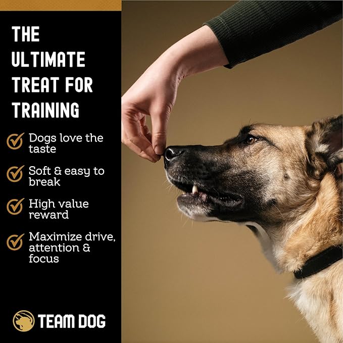 Team Dog Freeze-Dried Raw Beef Dog Treats | Dog Training Treats & Food Toppers for Picky Dogs | Made from Gluten Free, Grain Free 100% USA-Sourced Beef Lung, Liver & Heart | 14 oz Bulk Size Pack