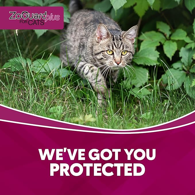 ZoGuard Plus Flea and Tick Prevention for Small Cats – Flea & Tick Prevention for Cats Over 1.5lbs (3 Doses)