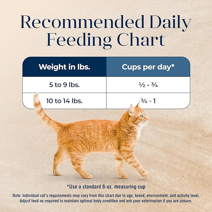 Blue Buffalo Basics Grain-Free Dry Cat Food, Skin & Stomach Care, Limited Ingredient Diet for Indoor Cats, Duck & Potato Recipe, 5-lb. Bag