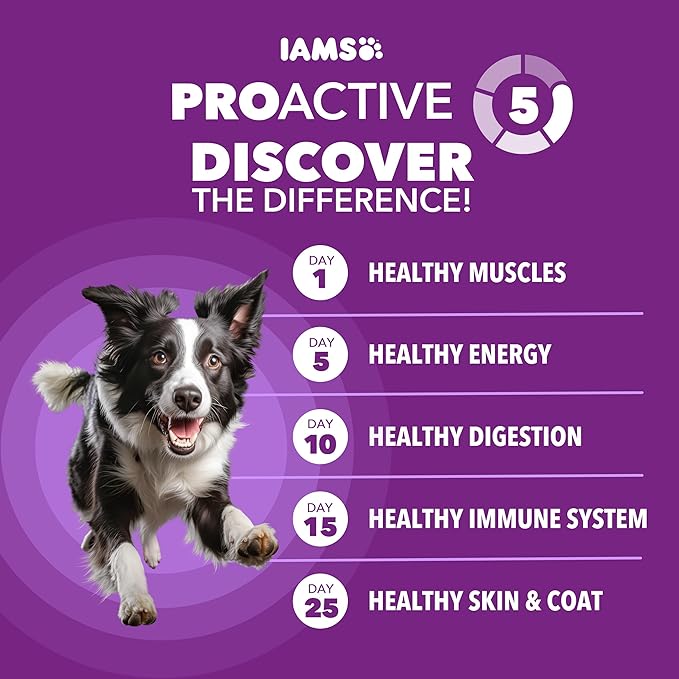 IAMS Advanced Health Skin & Coat Adult Dry Dog Food Chicken and Salmon Recipe, 4.5 lb. Bag