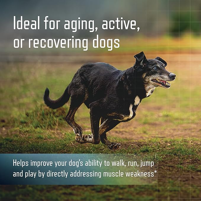 Virbac URSOLYX™ Soft Chews for Dogs | Muscle Health Support for Senior, Active or Recovering Dogs, Small up to 30lbs | 60 Count 2- Month Supply