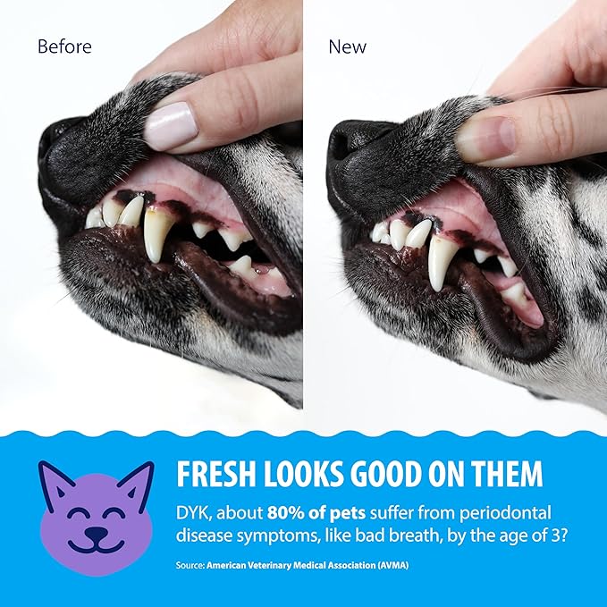 Dental Fresh Water Additive for Dogs and Cats, Clean Teeth and Fresh Breath, Daily Pet Oral Care, Flavorless, 32 fl oz