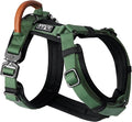 MADE TO ROAM Premium Explorer Harness - Y-Shaped Dog Harness with Adjustable Durable Nylon, Soft Padding, Metal Buckles and Leather Handle for Small, Medium, Large Dogs (Oregon Haze, Size 1)