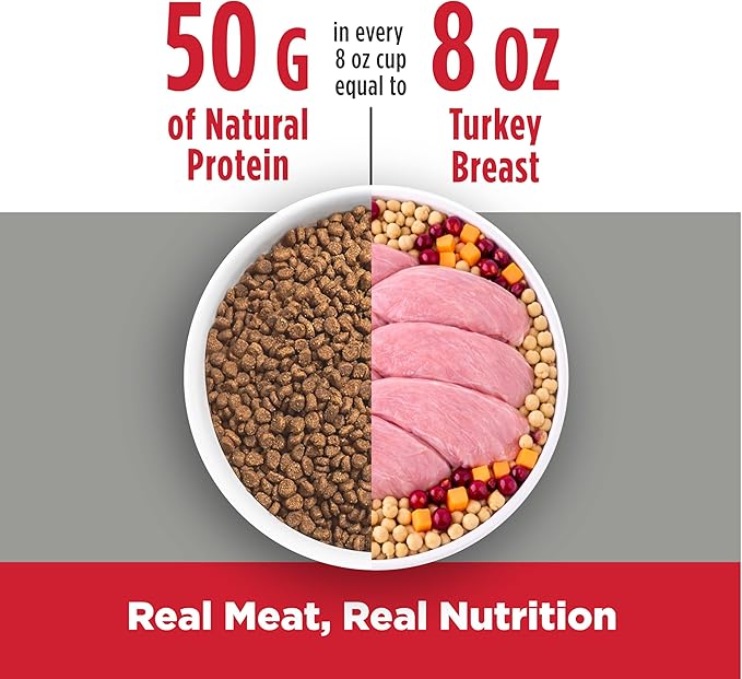 Nulo FreeStyle High Protein Cat & Kitten Food, Turkey & Duck Recipe - Natural Grain-Free Dry Cat Food with Omega Fatty Acids & Probiotics, 14 lb Bag