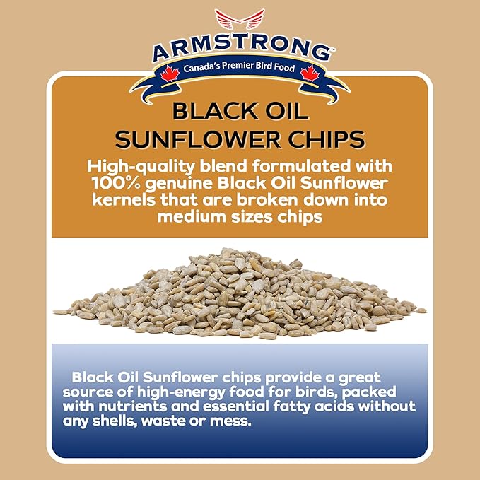 Armstrong Wild Bird Food Black Oil Sunflower Chips, 4 Pounds - for Northern Cardinals, American Goldfinches and Black-Capped Chickadees - Ideal for Outside Feeders