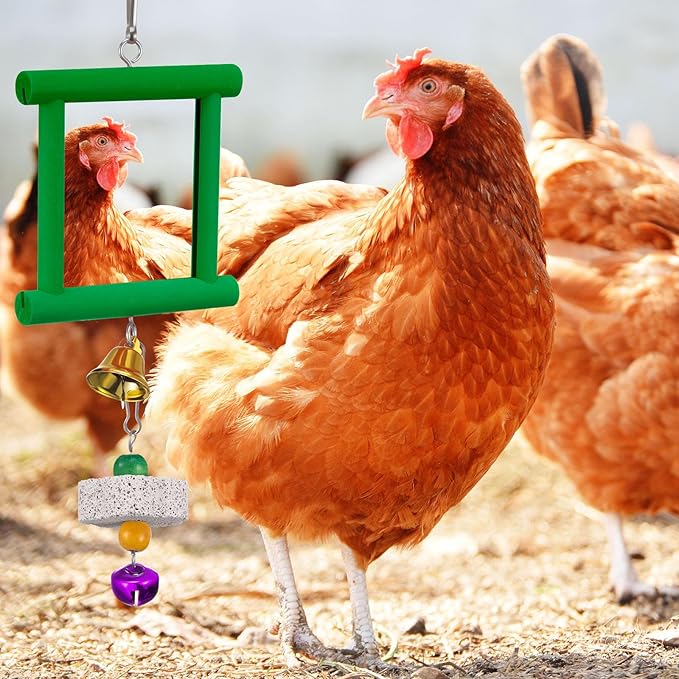 Sumind 2 Pieces Chicken Mirror Toys Hanging Swing Mirror with Bell Wooden Pecking Toy and 4 Pieces Beak Grinding Molar Stones for Hens Birds Parrots(Green,Purple)