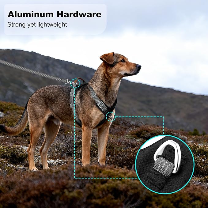 No Pull Dog Harness – Adjustable Reflective Nylon Vest for Small Medium Large Dogs, Escape Proof Training Harness with Leather Control Handle, Lightweight Aluminum Hardware (Black, XL)