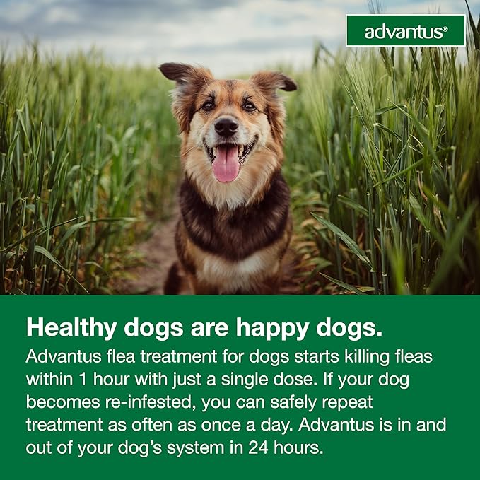 Advantus Dog Fast Acting Oral Flea Treatment Soft Chews Dogs 4 - 22 lbs. | 30 ct.